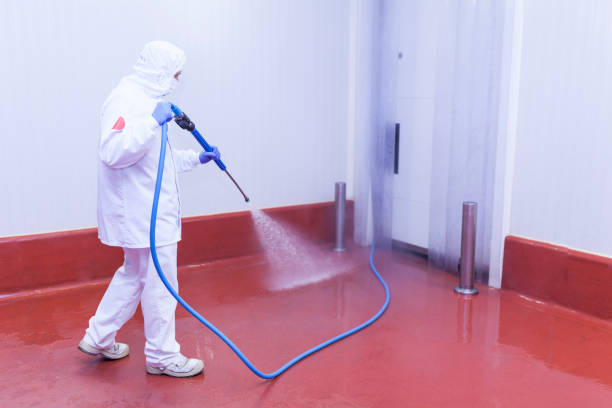 Best Oil Spill Cleanup  in West Vero Corridor, FL