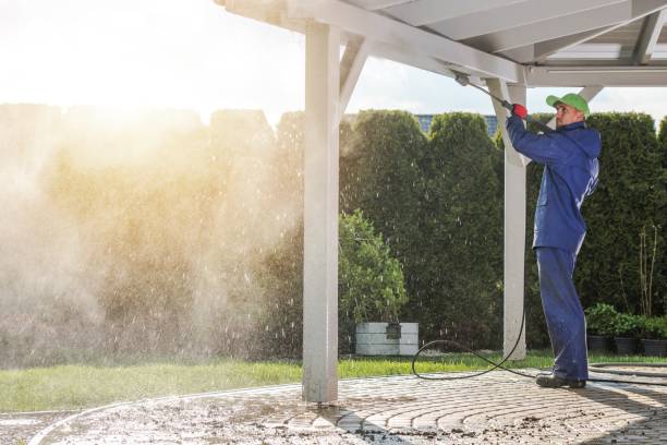 Best Boat and Dock Cleaning  in West Vero Corridor, FL